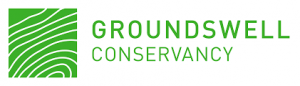 Groundswell logo