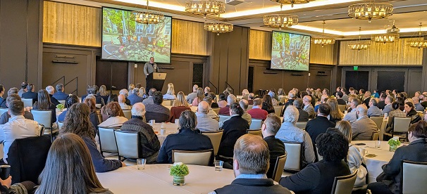 DMI What's Up Downtown January 2026 image